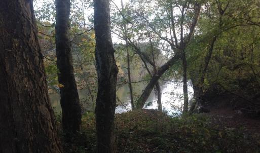 Photo of SOLD!!  31 Acres of Riverfront Hunting Land For Sale in Halifax County VA!