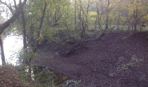 Photo of SOLD!!  31 Acres of Riverfront Hunting Land For Sale in Halifax County VA!
