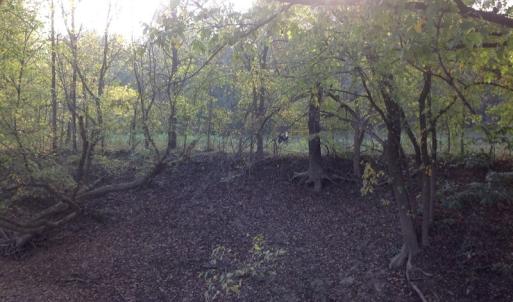 Photo of SOLD!!  31 Acres of Riverfront Hunting Land For Sale in Halifax County VA!
