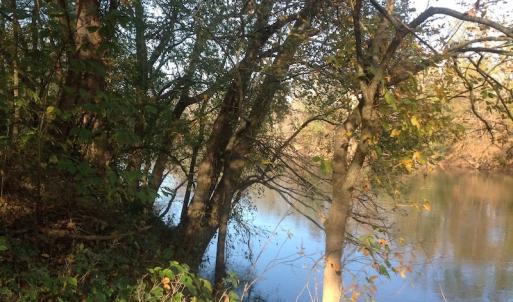 Photo of SOLD!!  31 Acres of Riverfront Hunting Land For Sale in Halifax County VA!