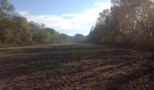 Photo of SOLD!!  31 Acres of Riverfront Hunting Land For Sale in Halifax County VA!