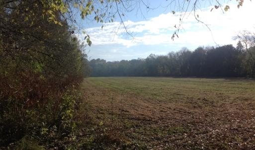 Photo of SOLD!!  31 Acres of Riverfront Hunting Land For Sale in Halifax County VA!