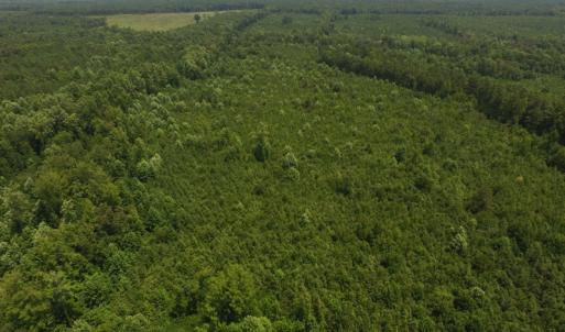 Photo of UNDER CONTRACT!  25.04 Acres of Hunting Land For Sale in Warren County NC!