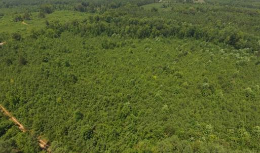 Photo of UNDER CONTRACT!  25.04 Acres of Hunting Land For Sale in Warren County NC!