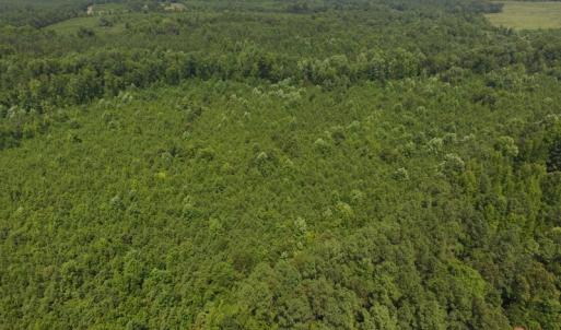 Photo of UNDER CONTRACT!  25.04 Acres of Hunting Land For Sale in Warren County NC!