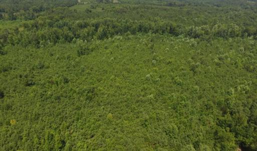 Photo of UNDER CONTRACT!  25.04 Acres of Hunting Land For Sale in Warren County NC!