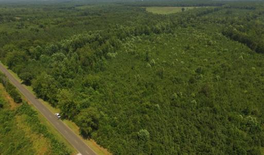 Photo of UNDER CONTRACT!  25.04 Acres of Hunting Land For Sale in Warren County NC!