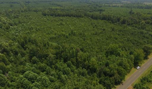 Photo of UNDER CONTRACT!  25.04 Acres of Hunting Land For Sale in Warren County NC!