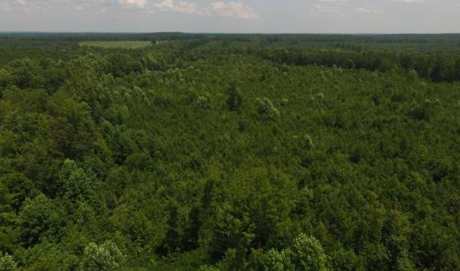 Photo of UNDER CONTRACT!  25.04 Acres of Hunting Land For Sale in Warren County NC!