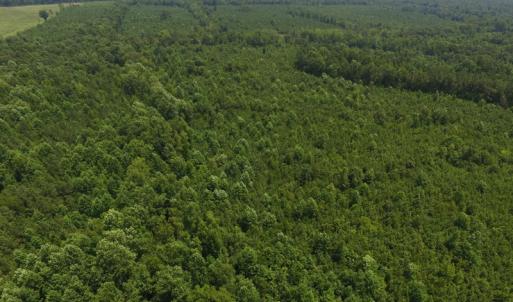 Photo of UNDER CONTRACT!  25.04 Acres of Hunting Land For Sale in Warren County NC!
