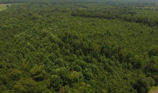 Photo of UNDER CONTRACT!  25.04 Acres of Hunting Land For Sale in Warren County NC!