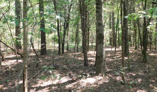 Photo of UNDER CONTRACT!  25.04 Acres of Hunting Land For Sale in Warren County NC!