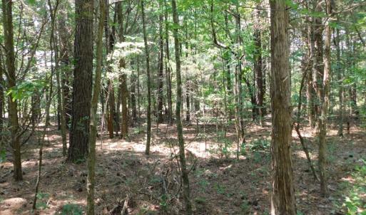 Photo of UNDER CONTRACT!  25.04 Acres of Hunting Land For Sale in Warren County NC!