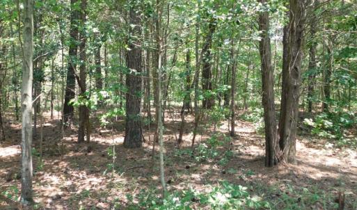 Photo of UNDER CONTRACT!  25.04 Acres of Hunting Land For Sale in Warren County NC!