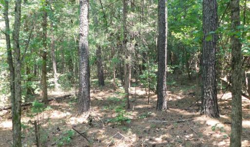 Photo of UNDER CONTRACT!  25.04 Acres of Hunting Land For Sale in Warren County NC!