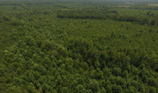 Photo of UNDER CONTRACT!  25.04 Acres of Hunting Land For Sale in Warren County NC!