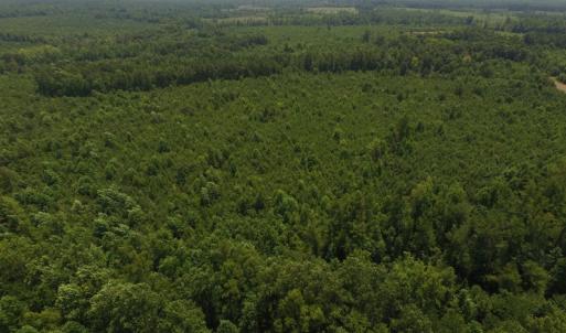 Photo of UNDER CONTRACT!  25.04 Acres of Hunting Land For Sale in Warren County NC!