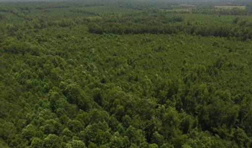 Photo of UNDER CONTRACT!  25.04 Acres of Hunting Land For Sale in Warren County NC!