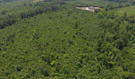 Photo of UNDER CONTRACT!  25.04 Acres of Hunting Land For Sale in Warren County NC!