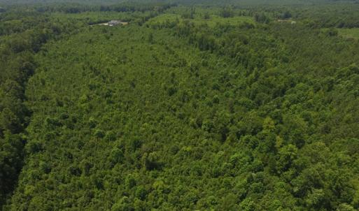 Photo of UNDER CONTRACT!  25.04 Acres of Hunting Land For Sale in Warren County NC!