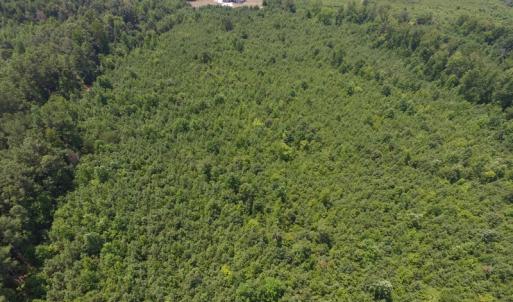 Photo of UNDER CONTRACT!  25.04 Acres of Hunting Land For Sale in Warren County NC!