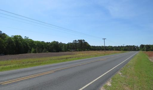 Photo of UNDER CONTRACT!  91 Acres of Farm and Timber Land For Sale in Robeson County NC!