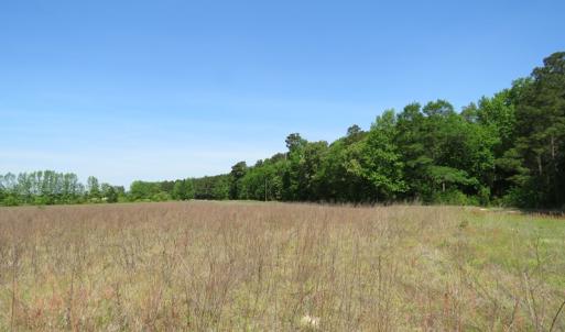 Photo of UNDER CONTRACT!  91 Acres of Farm and Timber Land For Sale in Robeson County NC!