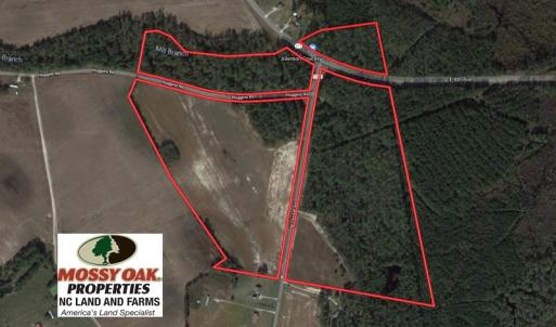 Photo of UNDER CONTRACT!  91 Acres of Farm and Timber Land For Sale in Robeson County NC!