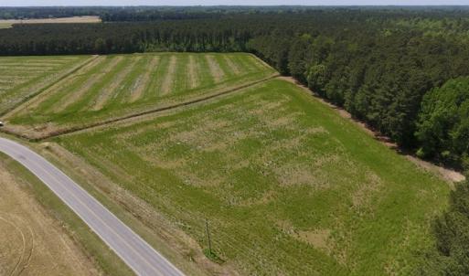 Photo of UNDER CONTRACT!  33 Acres of Hunting and Timber Land For Sale in Wilson County NC!