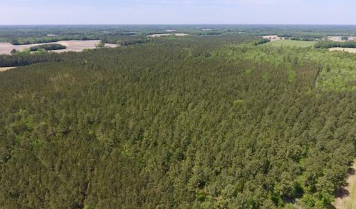 Photo of UNDER CONTRACT!  33 Acres of Hunting and Timber Land For Sale in Wilson County NC!