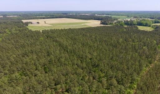 Photo of UNDER CONTRACT!  33 Acres of Hunting and Timber Land For Sale in Wilson County NC!