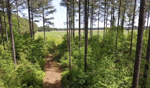 Photo of UNDER CONTRACT!  33 Acres of Hunting and Timber Land For Sale in Wilson County NC!
