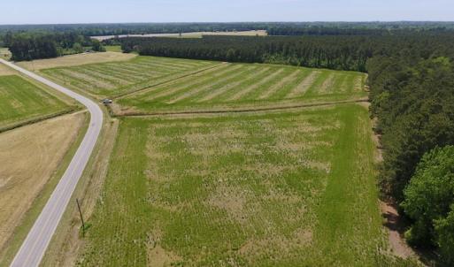 Photo of UNDER CONTRACT!  33 Acres of Hunting and Timber Land For Sale in Wilson County NC!
