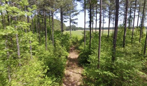 Photo of UNDER CONTRACT!  33 Acres of Hunting and Timber Land For Sale in Wilson County NC!