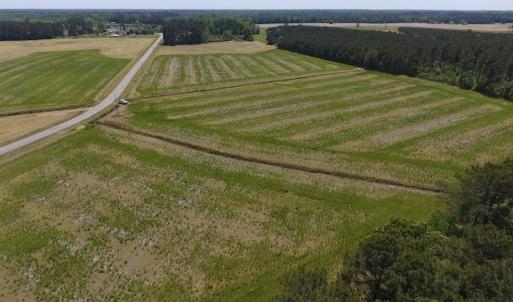 Photo of UNDER CONTRACT!  33 Acres of Hunting and Timber Land For Sale in Wilson County NC!