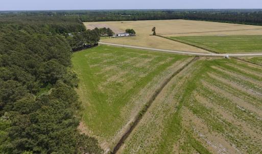 Photo of UNDER CONTRACT!  33 Acres of Hunting and Timber Land For Sale in Wilson County NC!