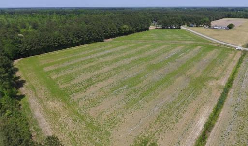 Photo of UNDER CONTRACT!  33 Acres of Hunting and Timber Land For Sale in Wilson County NC!