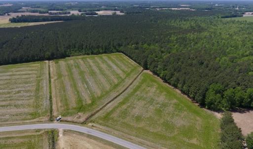 Photo of UNDER CONTRACT!  33 Acres of Hunting and Timber Land For Sale in Wilson County NC!