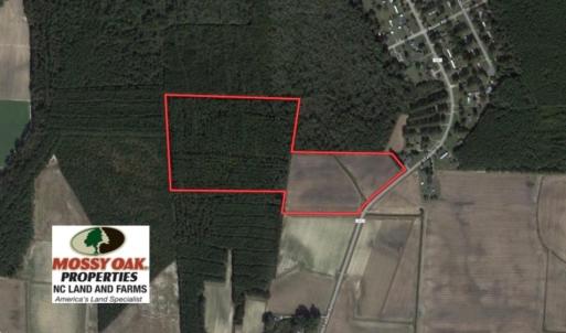 Photo of UNDER CONTRACT!  33 Acres of Hunting and Timber Land For Sale in Wilson County NC!