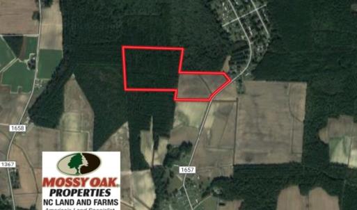 Photo of UNDER CONTRACT!  33 Acres of Hunting and Timber Land For Sale in Wilson County NC!