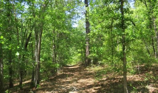 Photo of UNDER CONTRACT!  67.61 Acres of Hunting and Residential Land for Sale in Scotland County NC!
