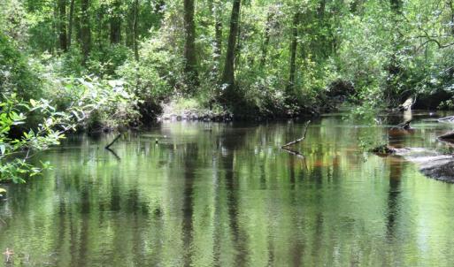 Photo of UNDER CONTRACT!  67.61 Acres of Hunting and Residential Land for Sale in Scotland County NC!