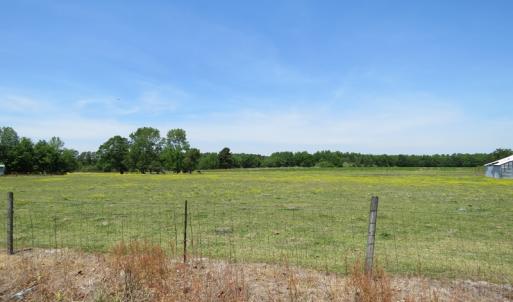 Photo of UNDER CONTRACT!  113 Acres of Farm and Timber Land For Sale in Robeson County NC!