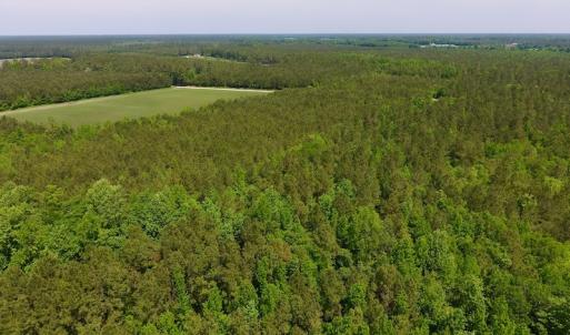 Photo of UNDER CONTRACT!  26.7 Acres of Hunting and Timber Land For Sale in Jones County NC!