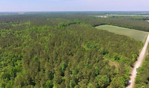 Photo of UNDER CONTRACT!  26.7 Acres of Hunting and Timber Land For Sale in Jones County NC!