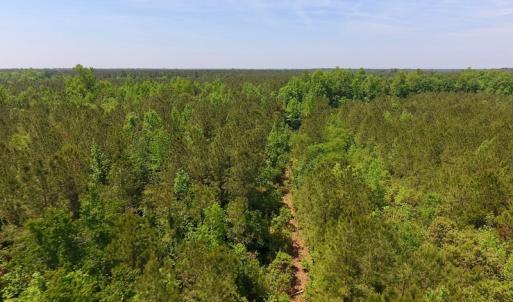 Photo of UNDER CONTRACT!  26.7 Acres of Hunting and Timber Land For Sale in Jones County NC!