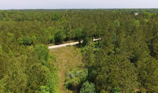 Photo of UNDER CONTRACT!  26.7 Acres of Hunting and Timber Land For Sale in Jones County NC!