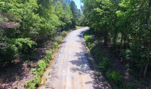 Photo of UNDER CONTRACT!  26.7 Acres of Hunting and Timber Land For Sale in Jones County NC!