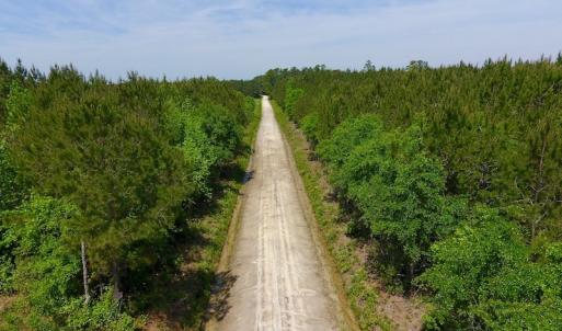 Photo of UNDER CONTRACT!  26.7 Acres of Hunting and Timber Land For Sale in Jones County NC!