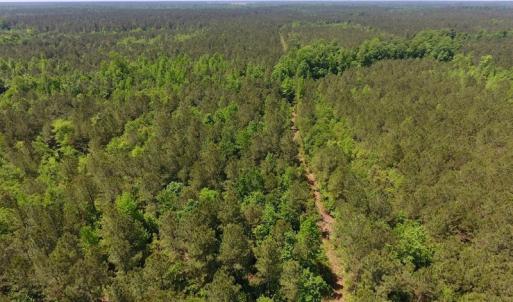 Photo of UNDER CONTRACT!  26.7 Acres of Hunting and Timber Land For Sale in Jones County NC!